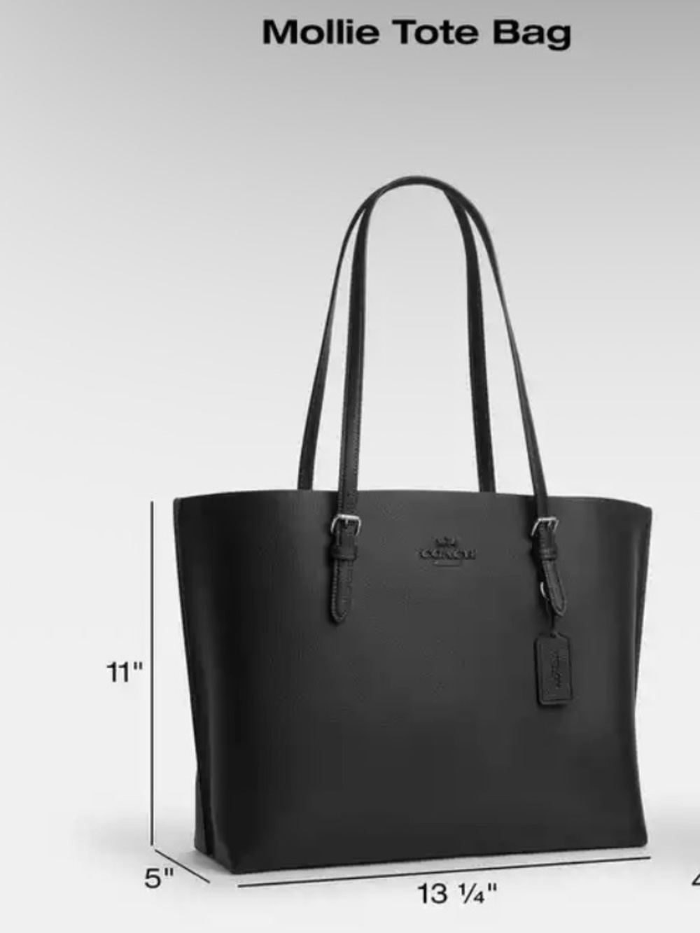 Coach Mollie Tote - Picture 8 of 10